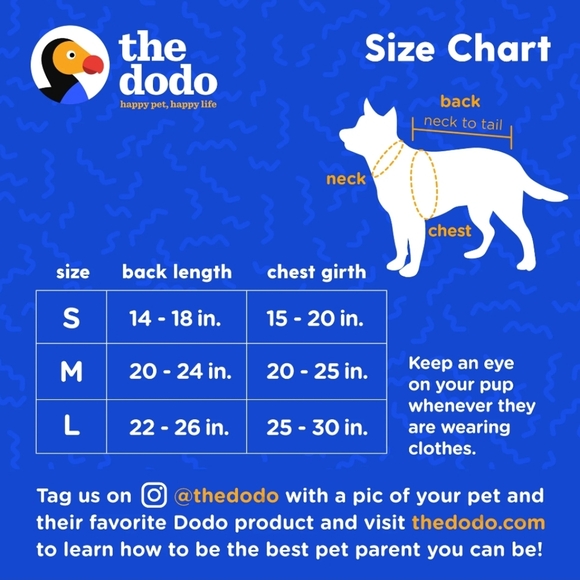 the Dodo Rainy Days Dog Raincoat, size Small - Picture 13 of 15